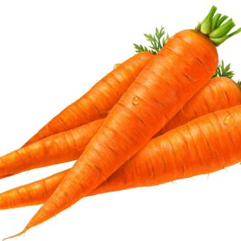 CARROTS 12 KG03